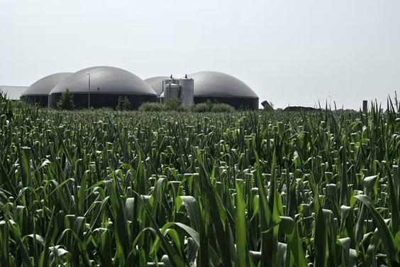 Vergister groen gas Vergister groen gas