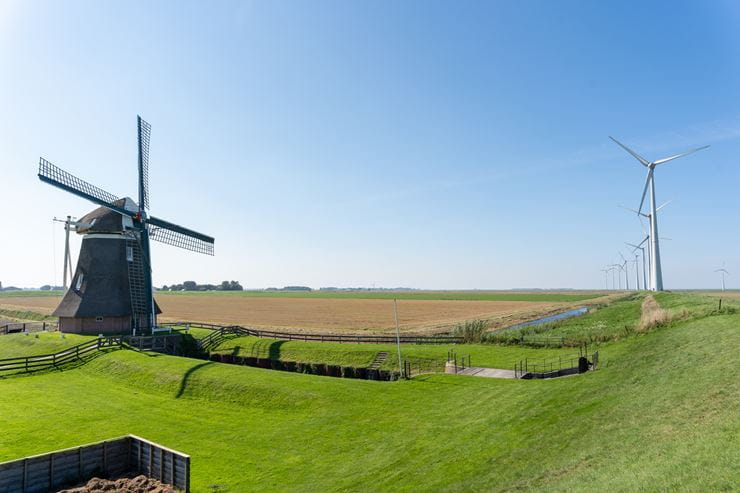 Afbeelding 1